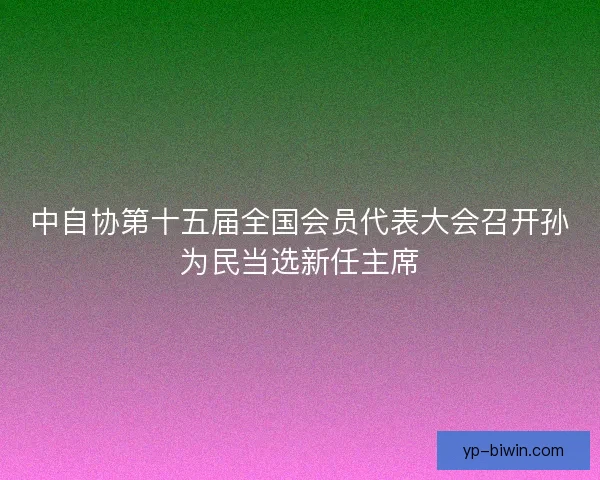 中自协第十五届全国会员代表大会召开孙为民当选新任主席 中自协第十五届全国会员代表大会召开孙为民当选新任主席